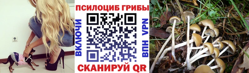 Купить  Лахденпохья  Галлюциногенные грибы MAGIC MUSHROOMS 